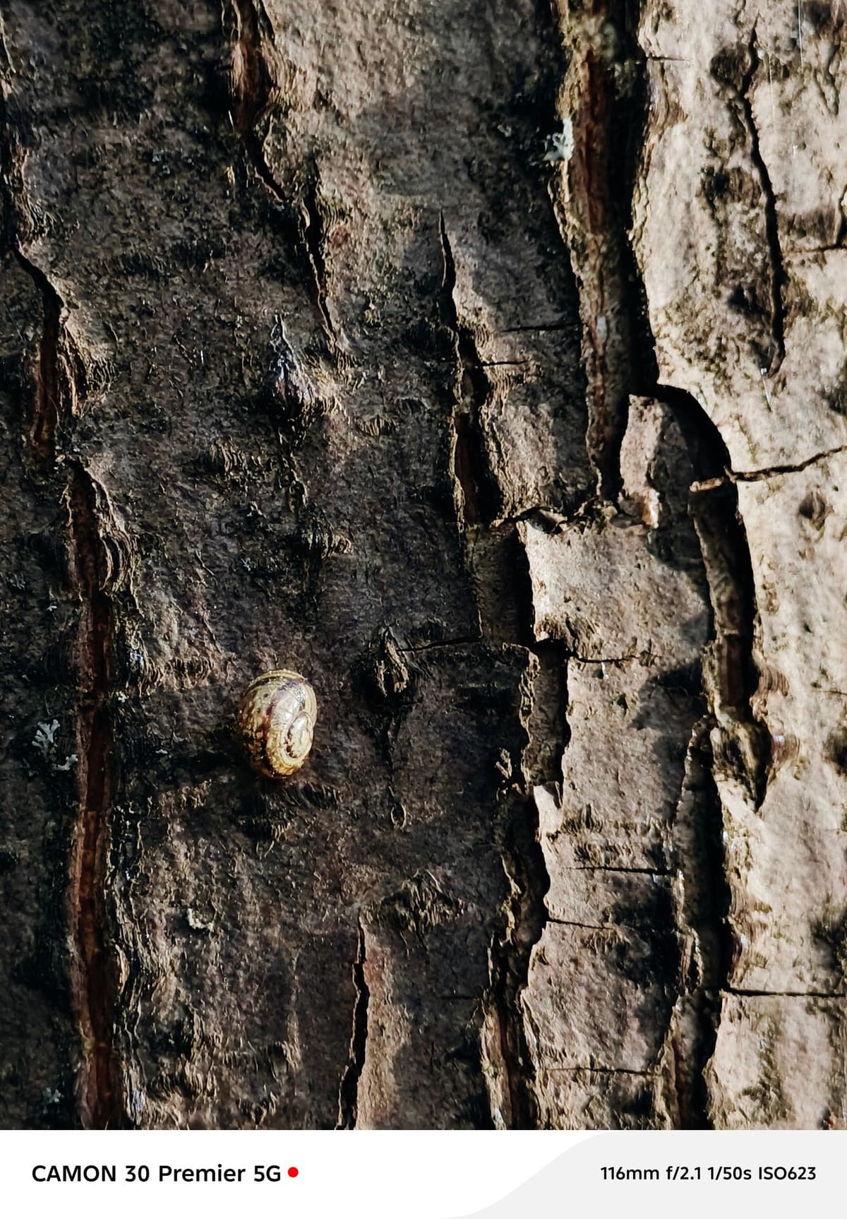 large_image_1787592873217.jpg