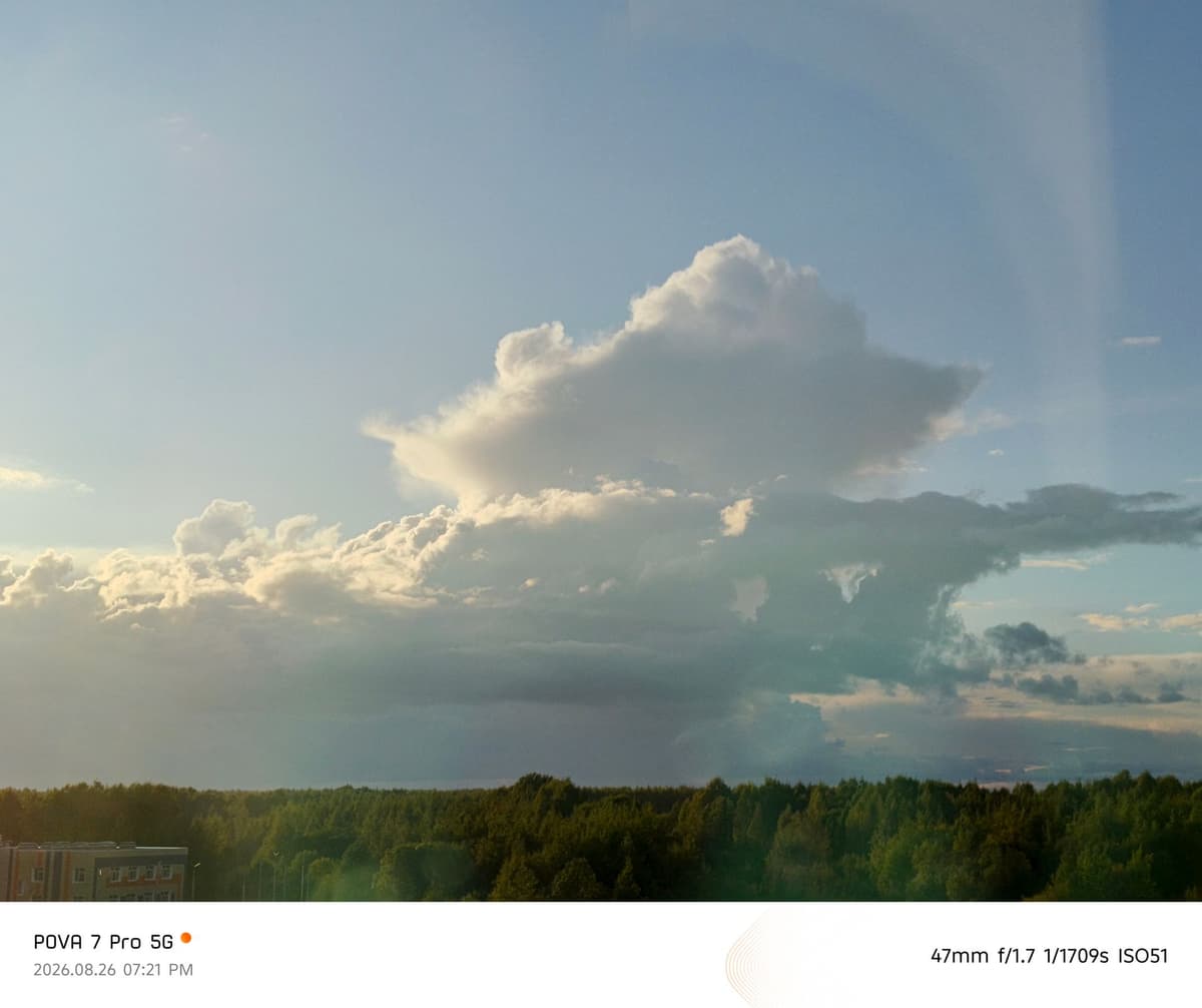 large_image_1787767063723.jpg