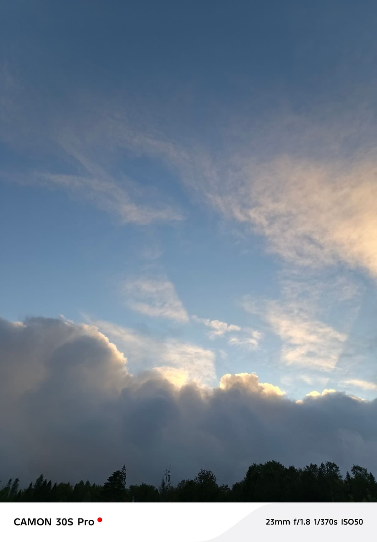 large_image_1787899348510.jpg