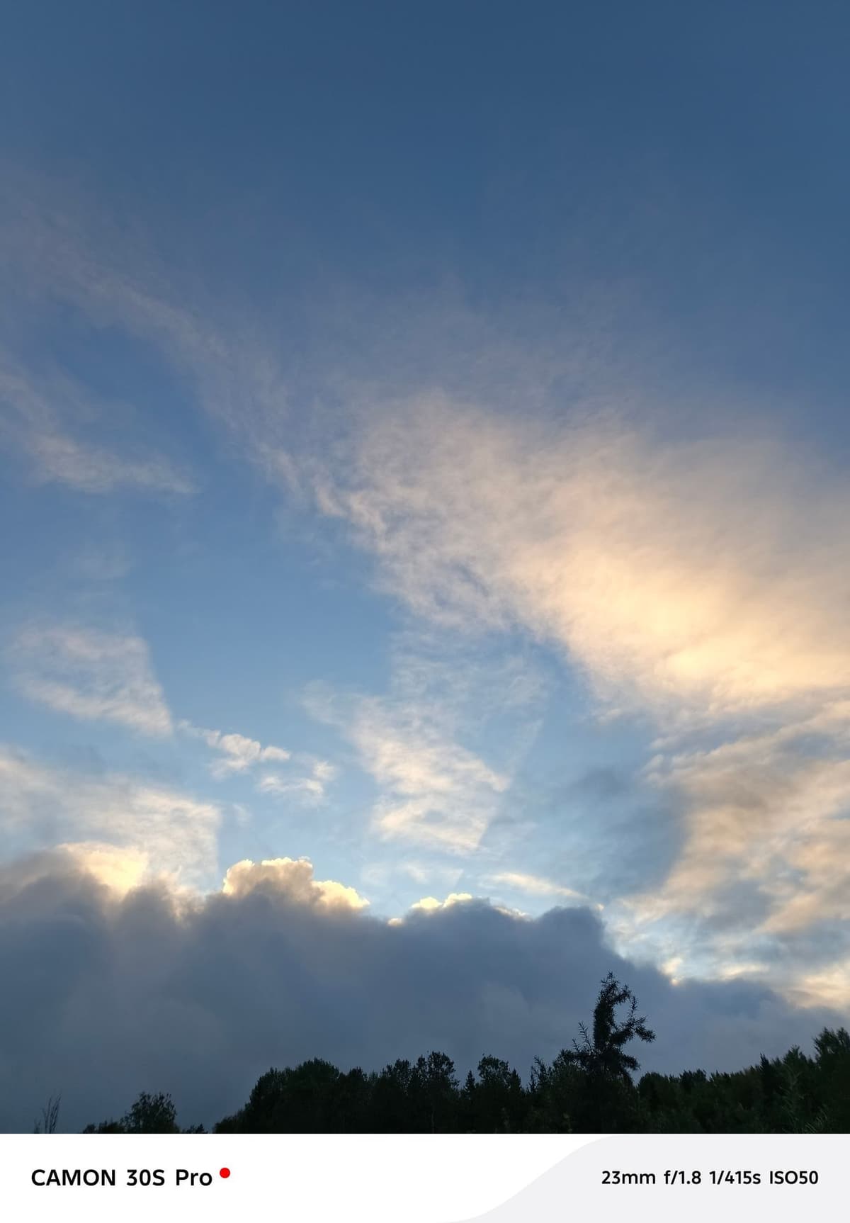 large_image_1787899348514.jpg