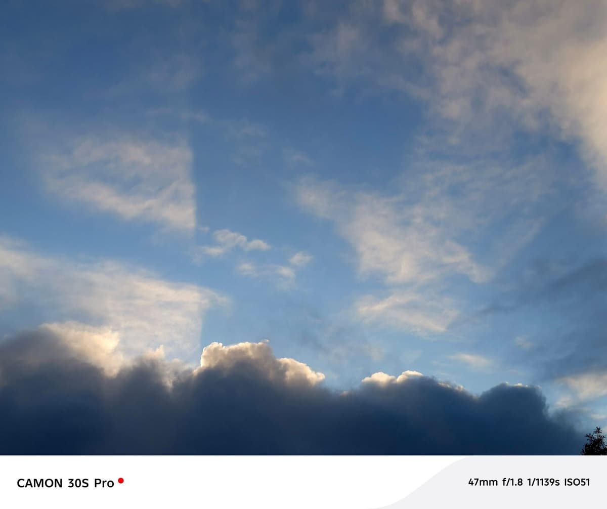 large_image_1787899348519.jpg