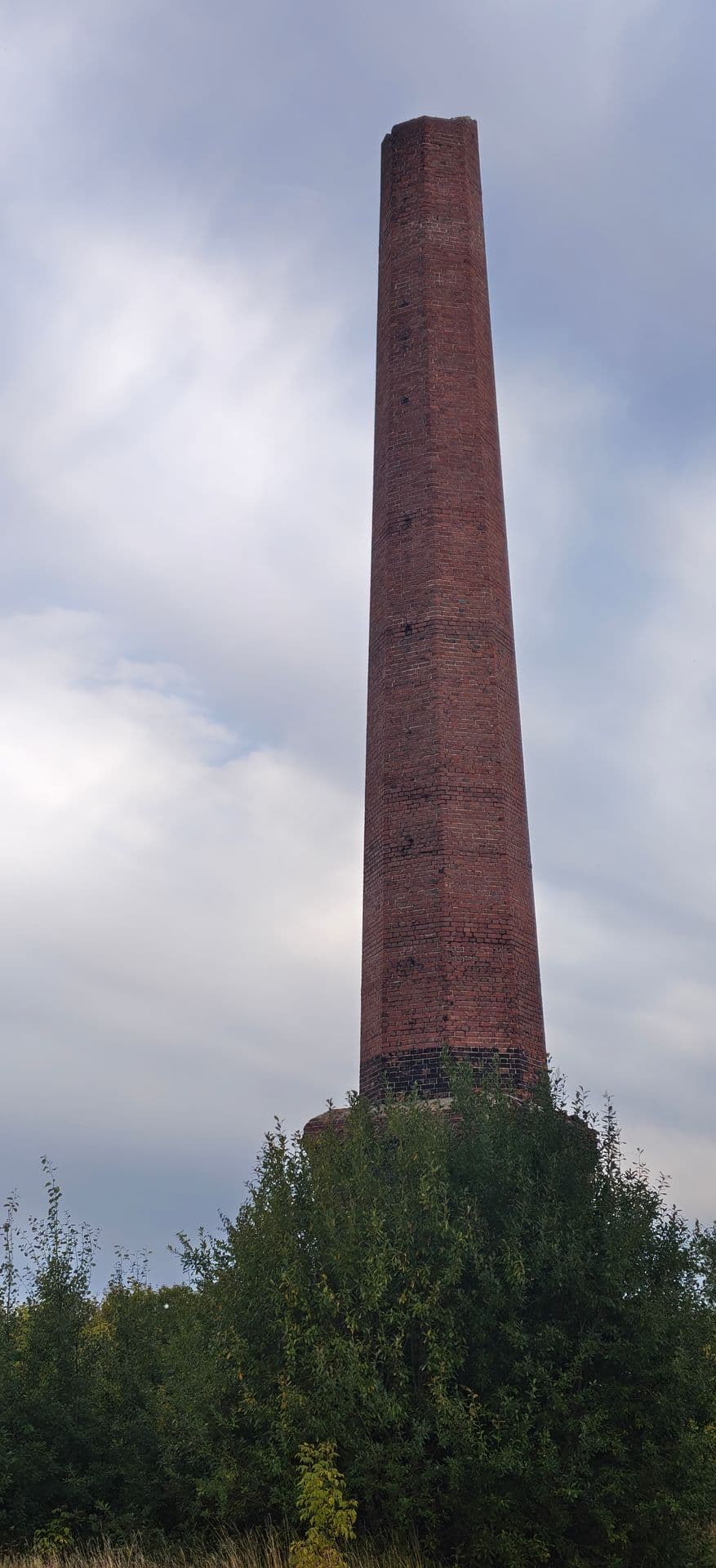 large_image_1788284528097.jpg