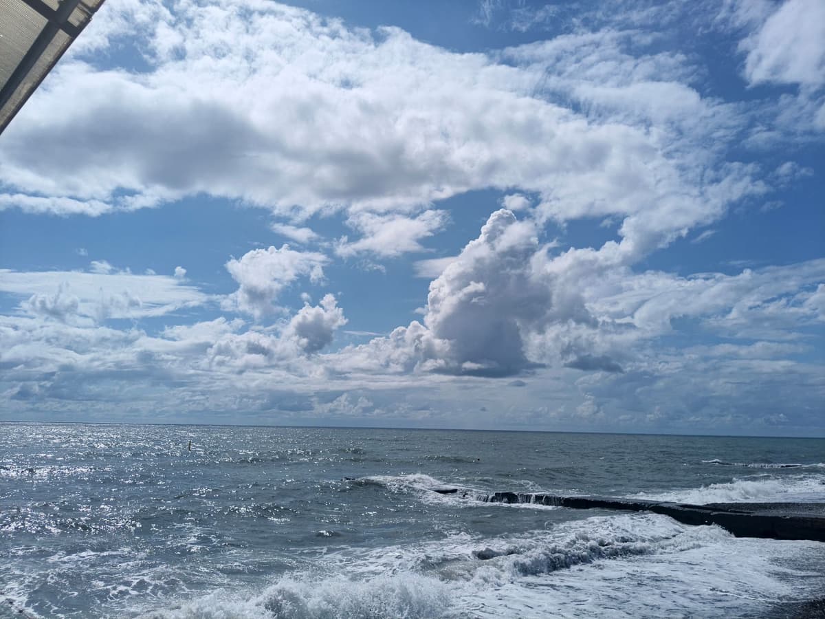 large_image_1789485721603.jpg
