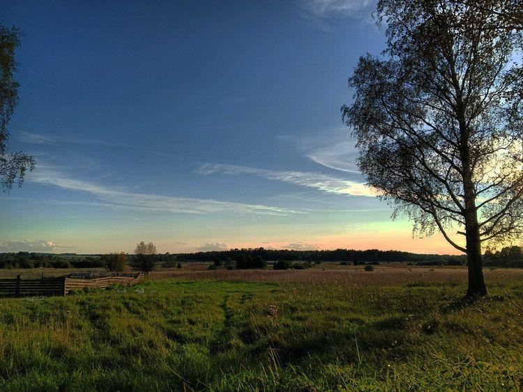 medium_image_1747426531141.jpg