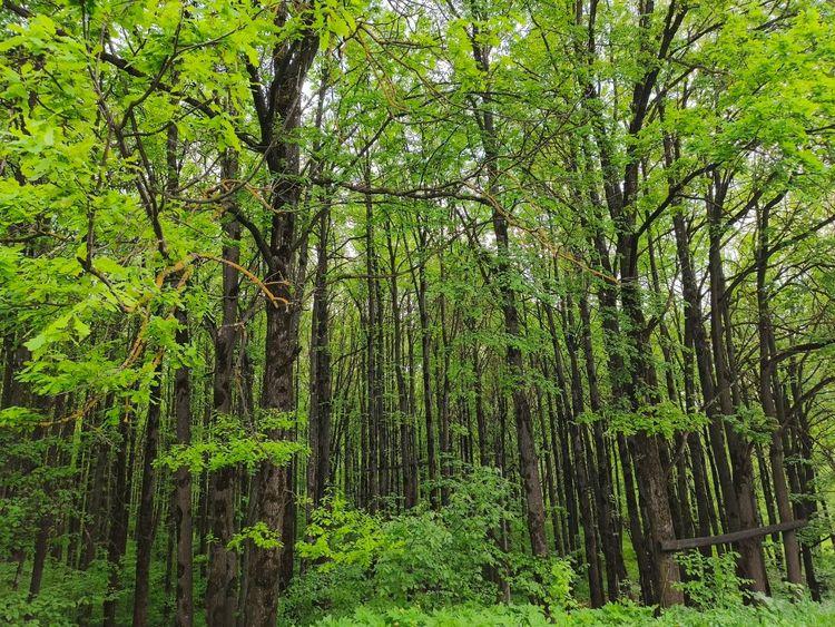 medium_image_1747593521841.jpg