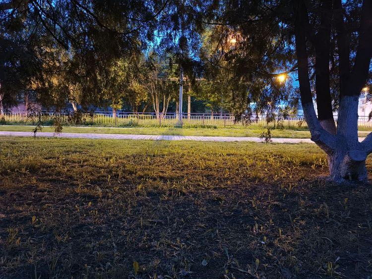 medium_image_1747593589316.jpg