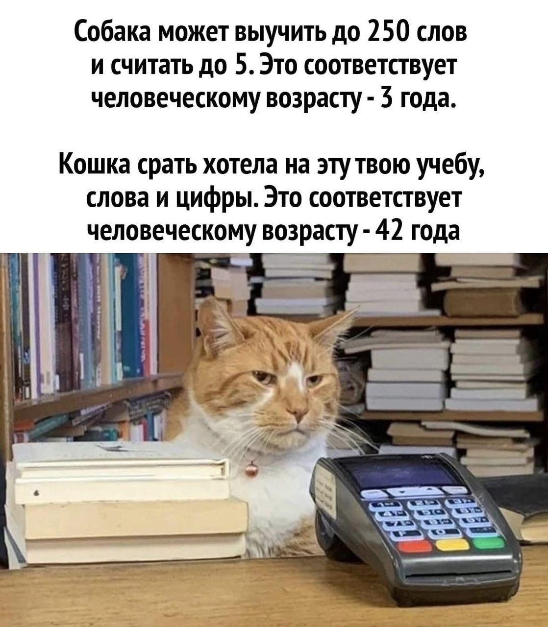 medium_image_1753690589031.jpg