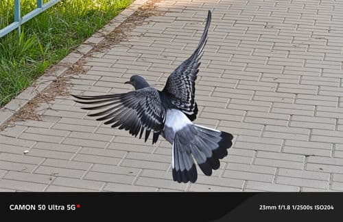 #Чё_по_фишечкам  в #Tecno_camon_50_ultra