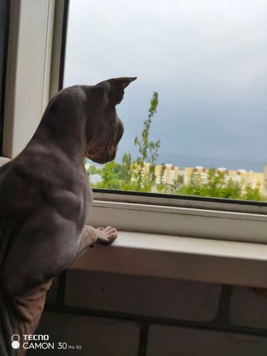 Кажется дождик собирается