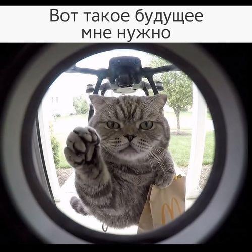 small_image_1753890633783.jpg
