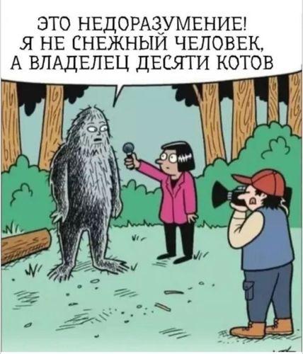 small_image_1753890759642.jpg