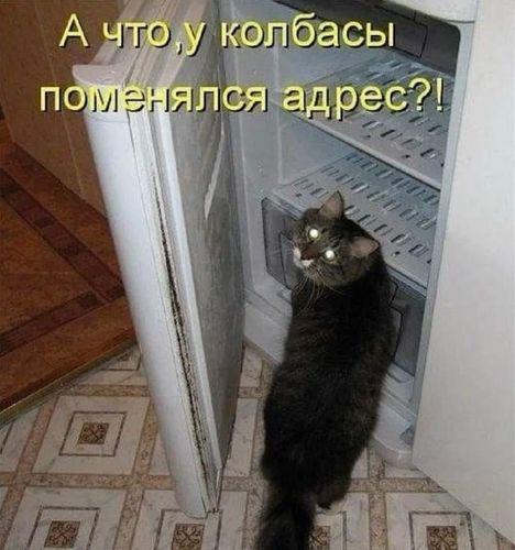 small_image_1753890825279.jpg
