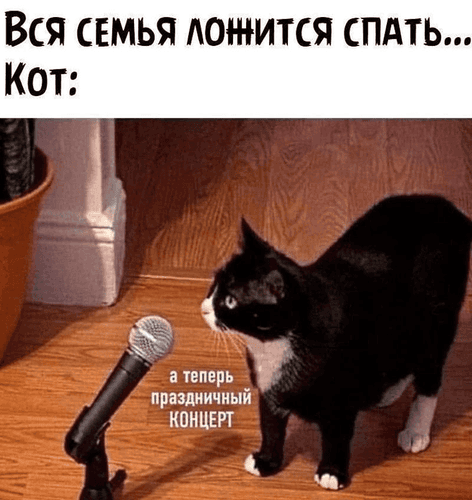 small_image_1753978995687.jpg