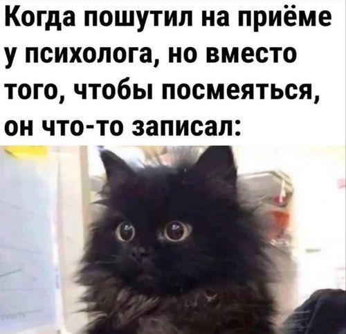 small_image_1753979238020.jpg
