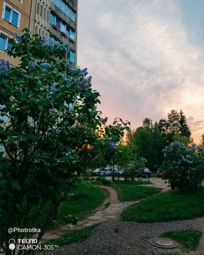 Май цветет 🌸