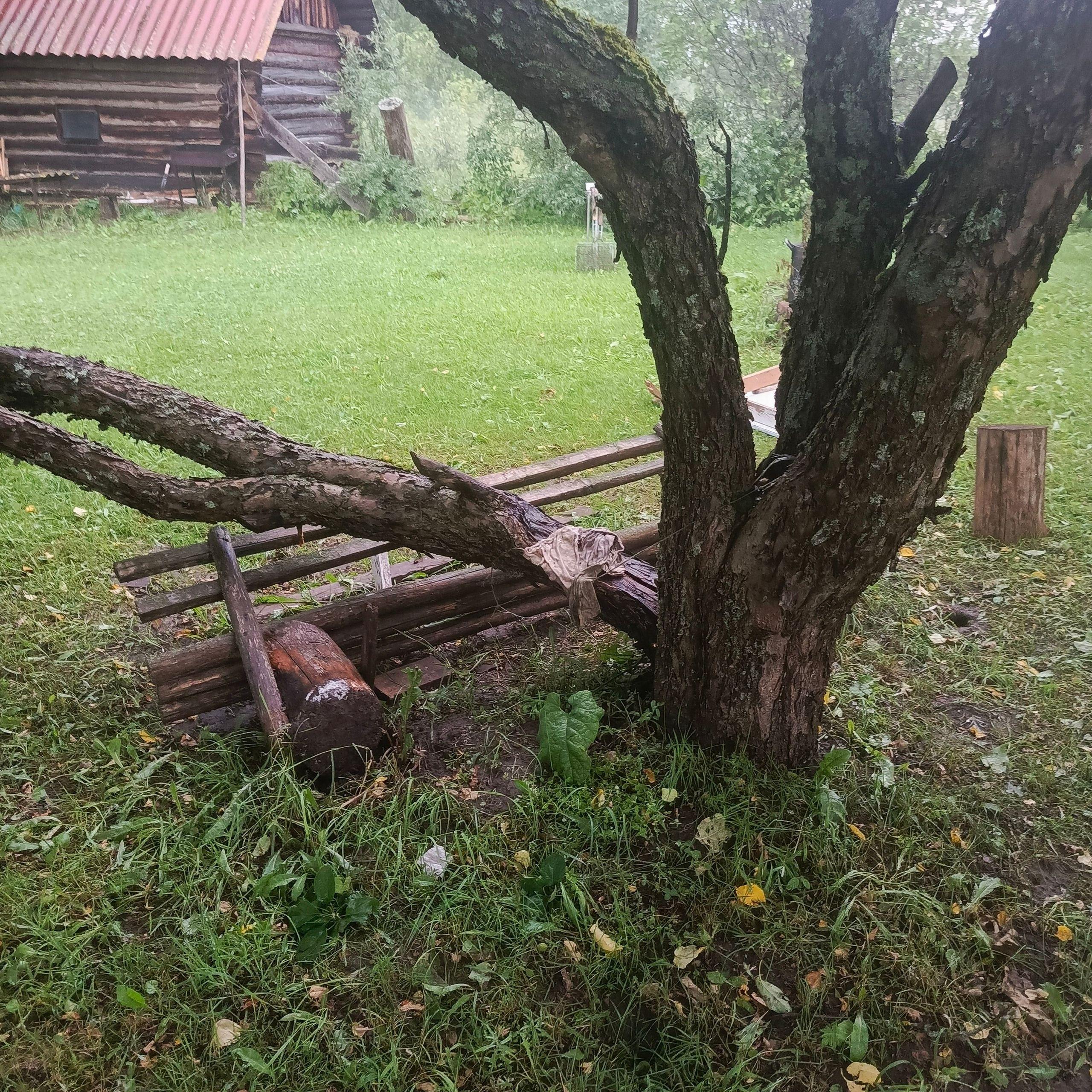 xlarge_image_1752466154728.jpg