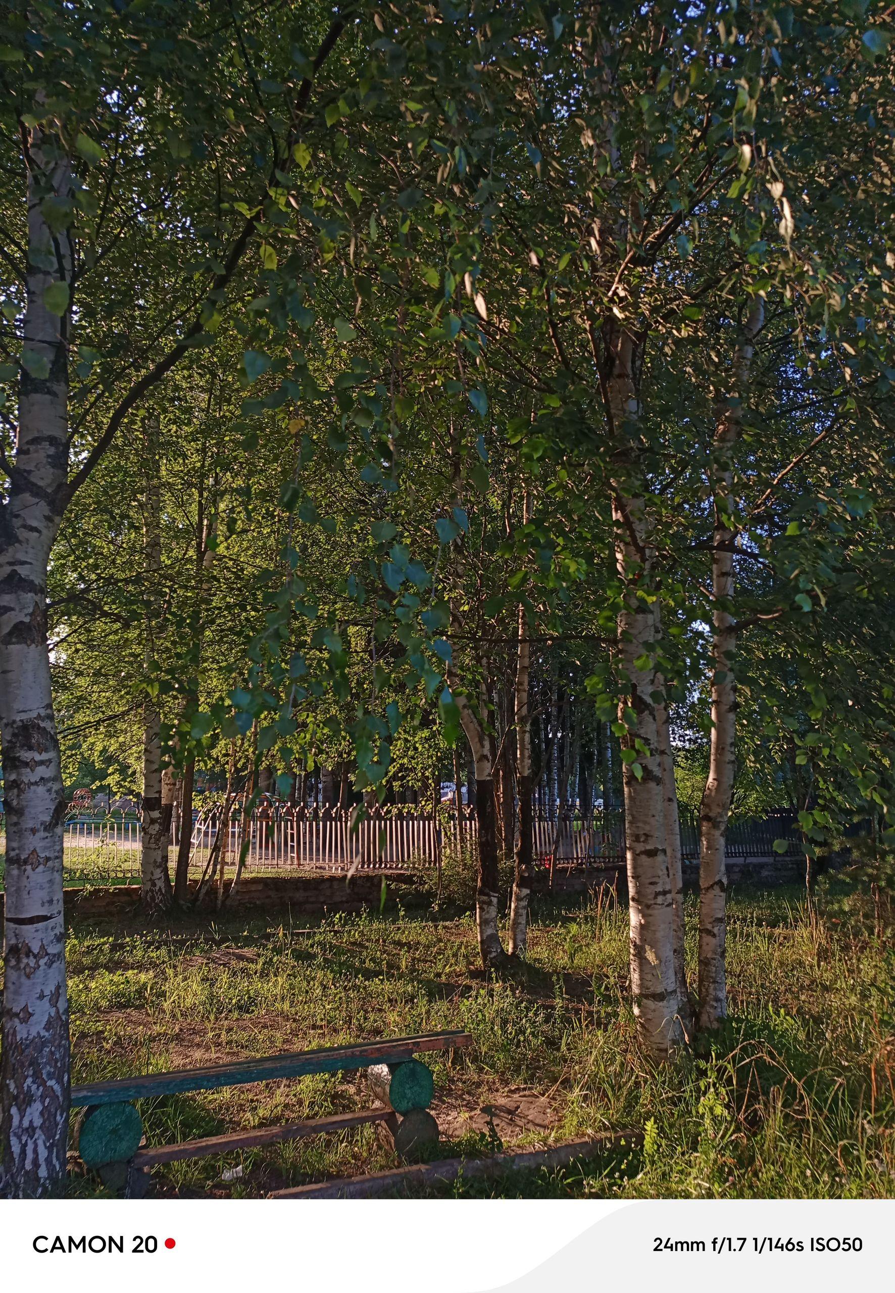 xlarge_image_1752770615727.jpg