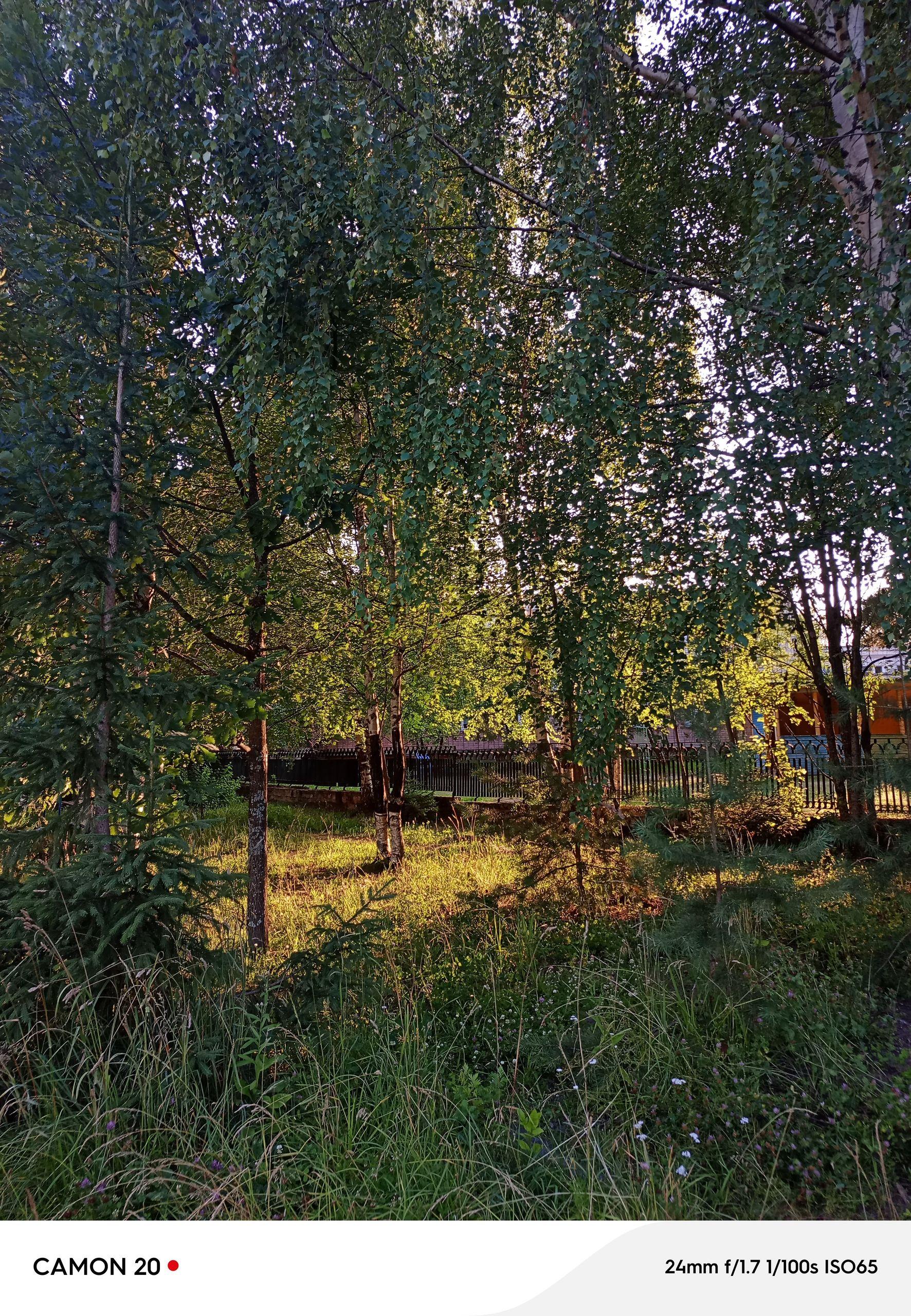 xlarge_image_1752770615745.jpg