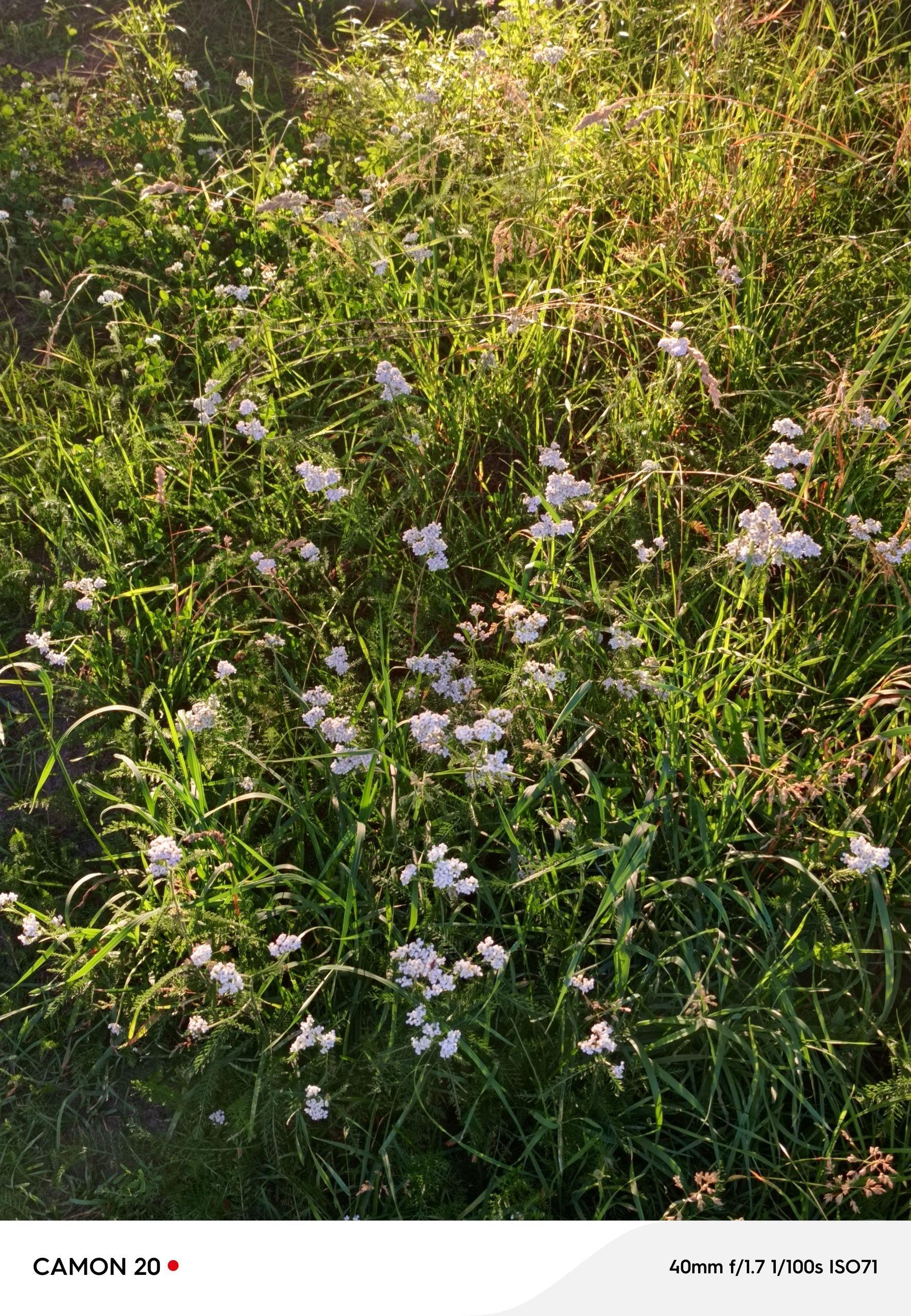 xlarge_image_1752771842888.jpg