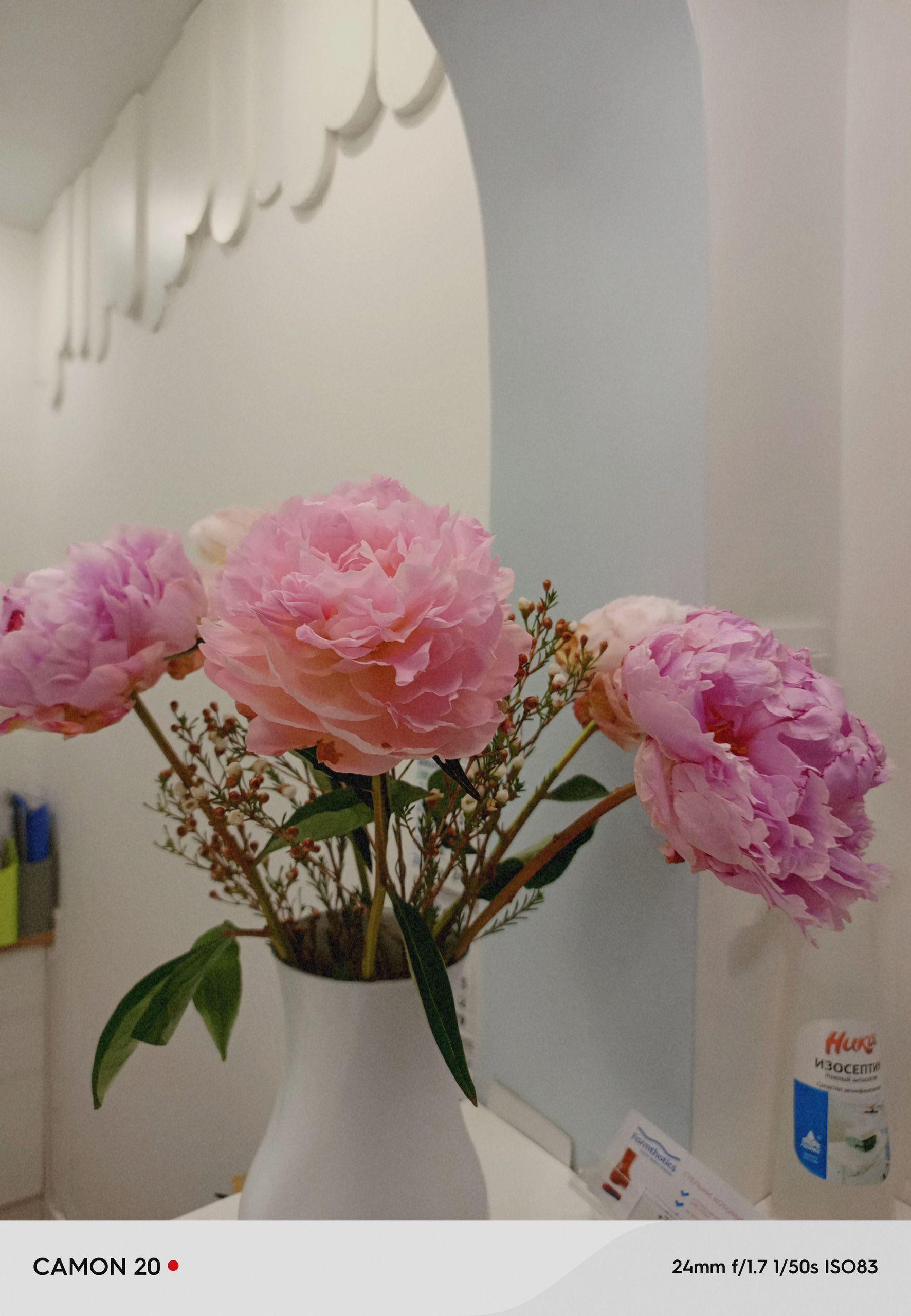 xlarge_image_1752920740039.jpg