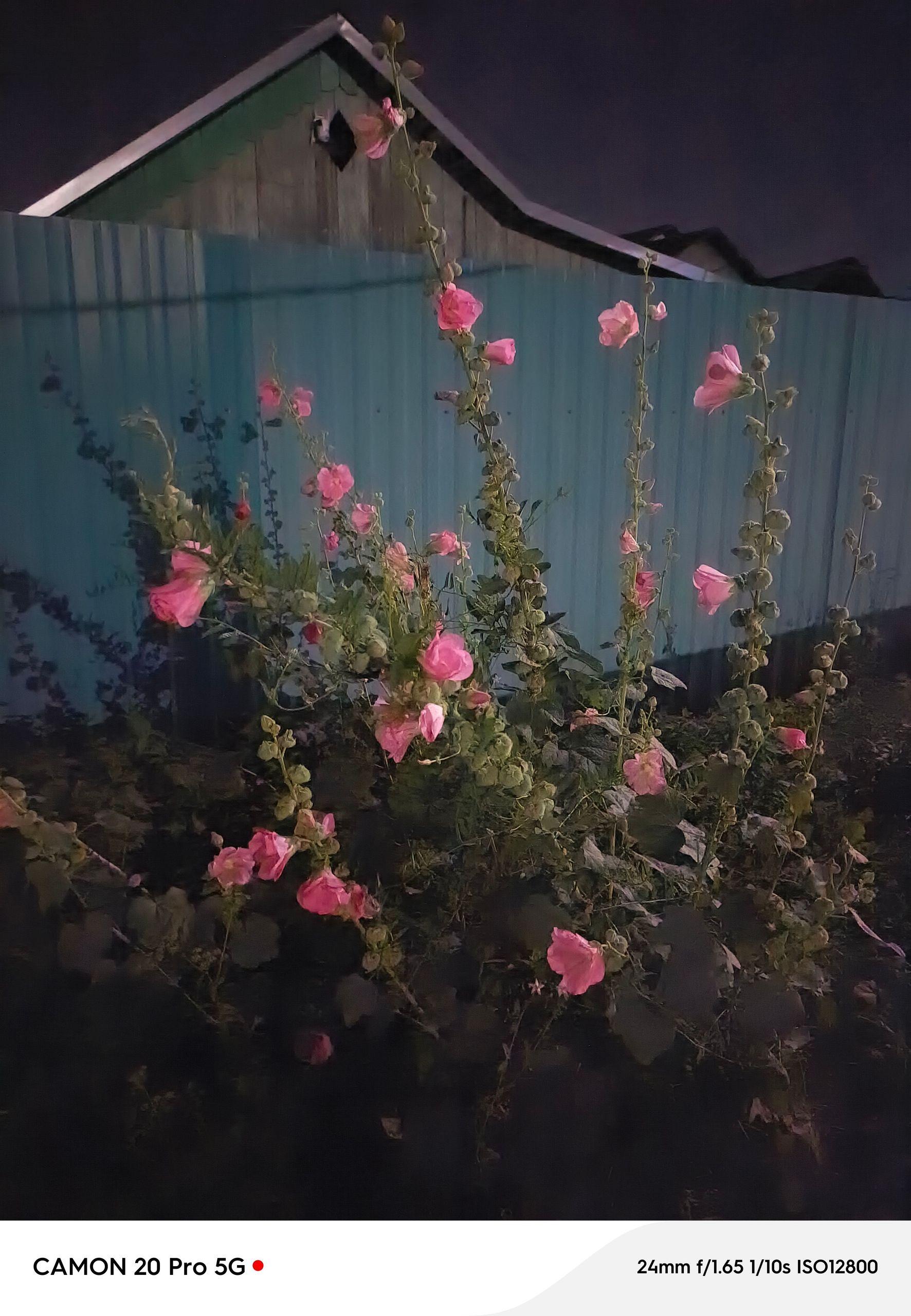 xlarge_image_1753081736155.jpg