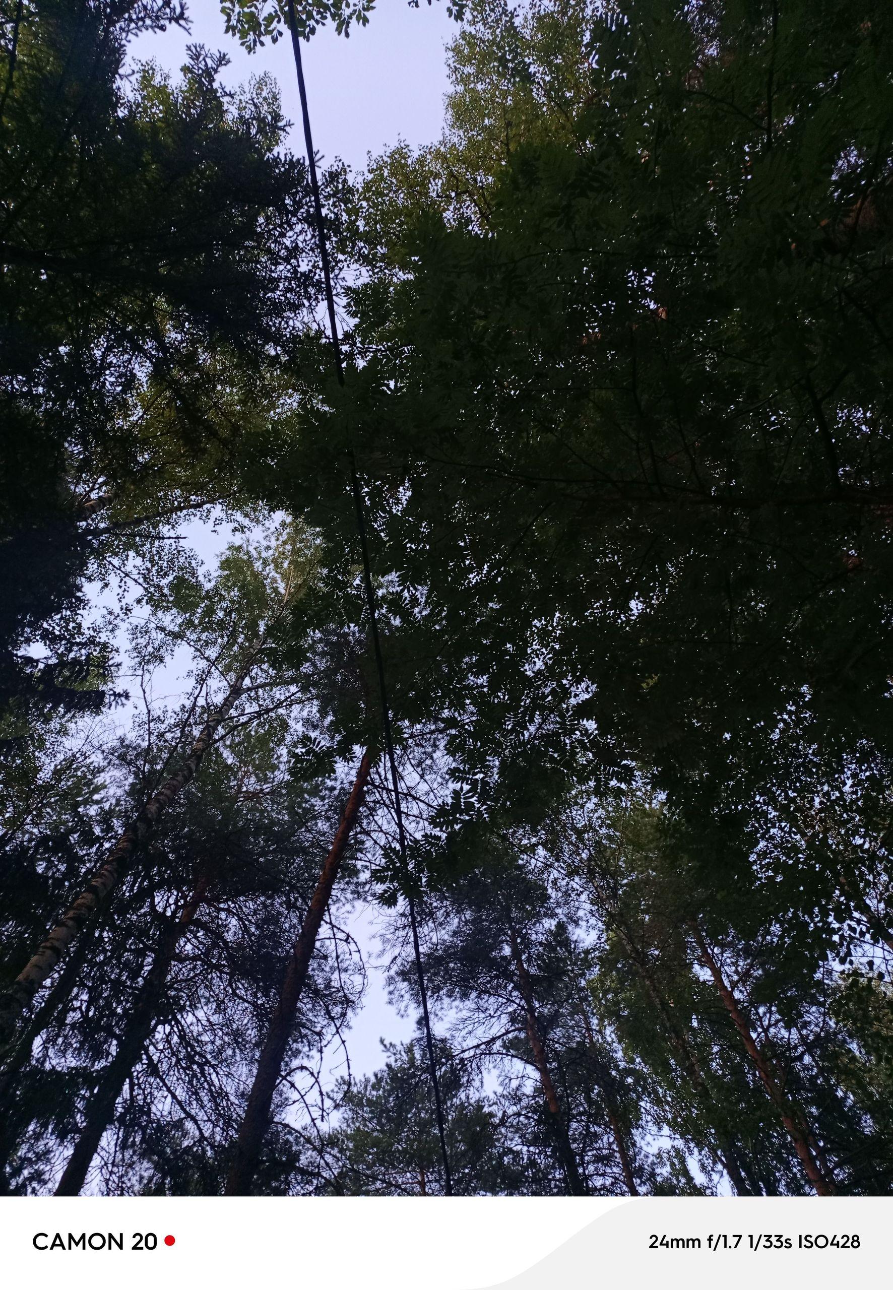 xlarge_image_1753431500072.jpg