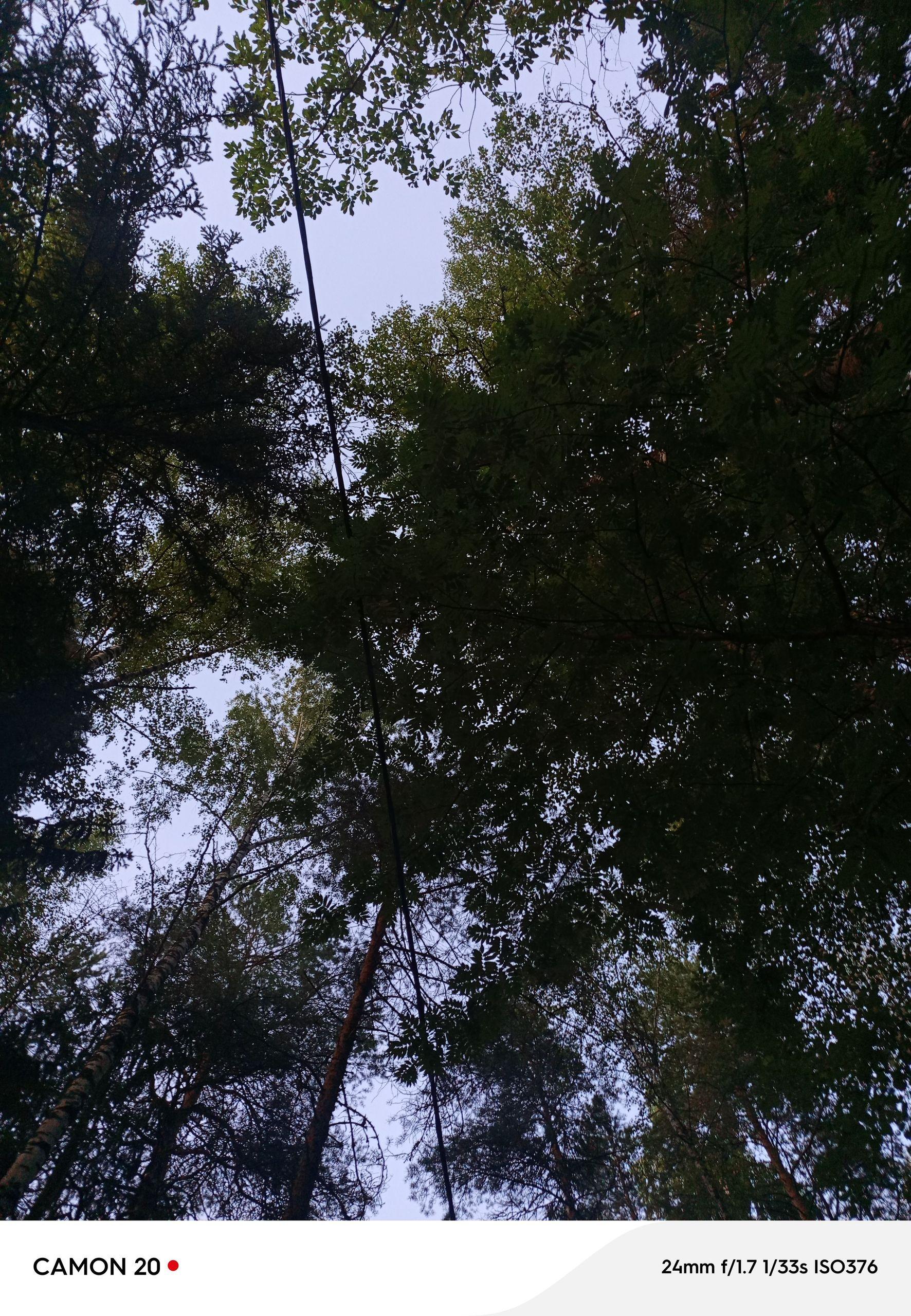 xlarge_image_1753431500075.jpg