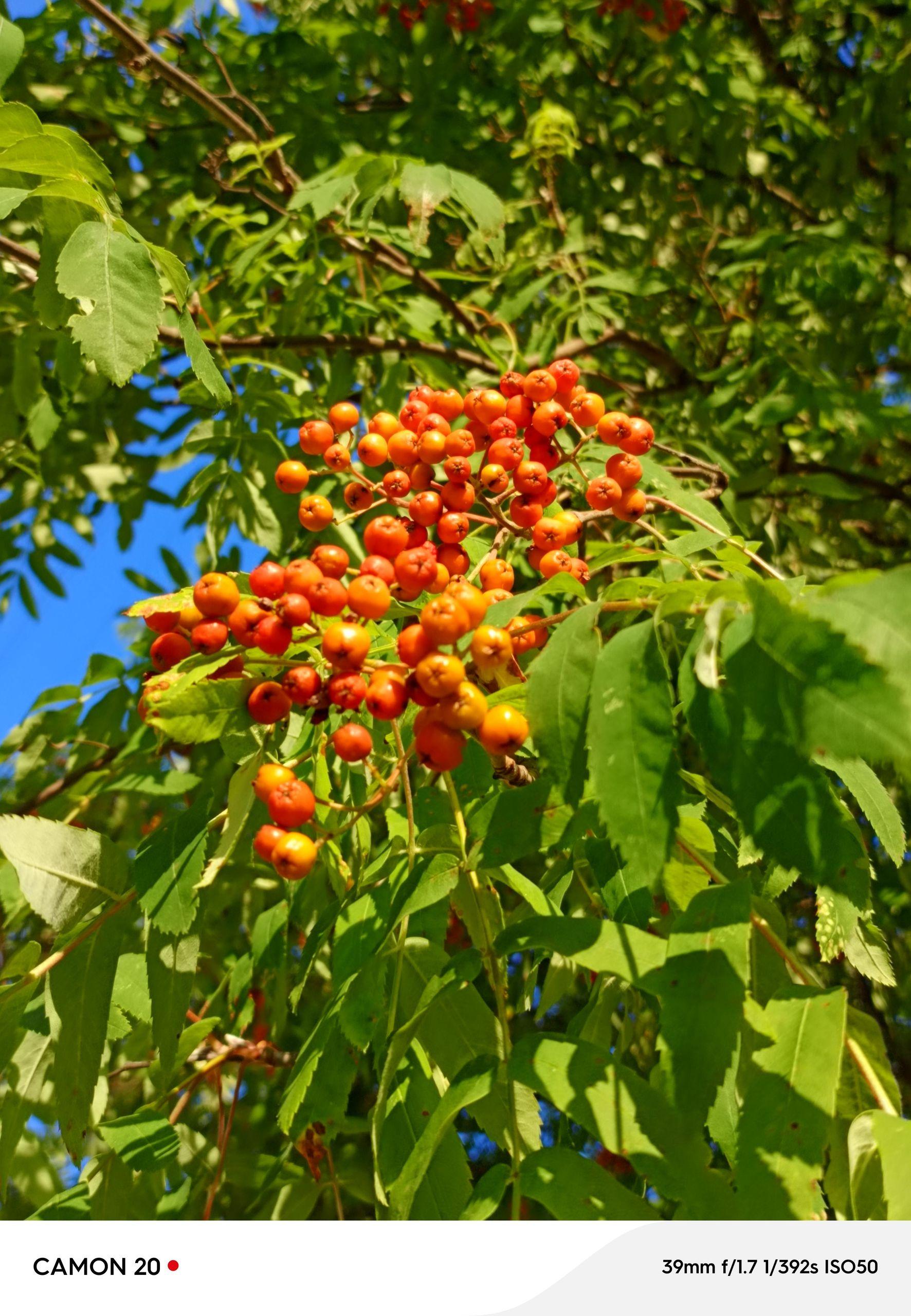 xlarge_image_1753542318684.jpg