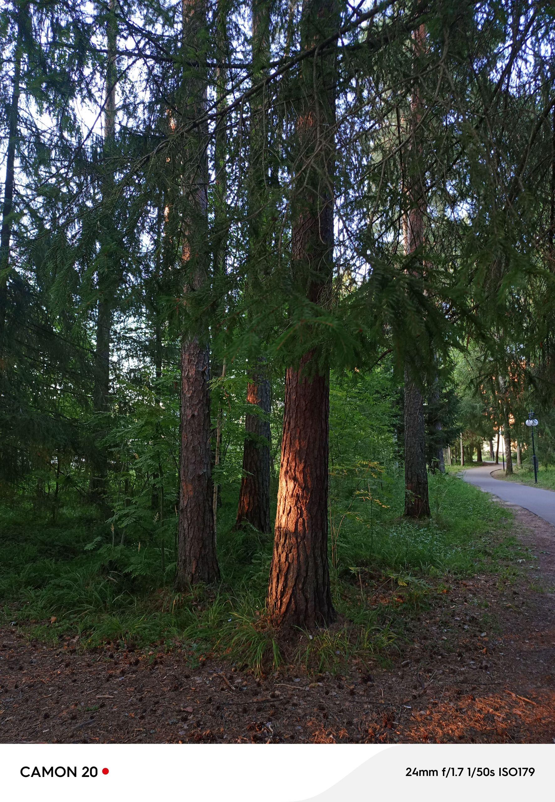 xlarge_image_1753838599593.jpg