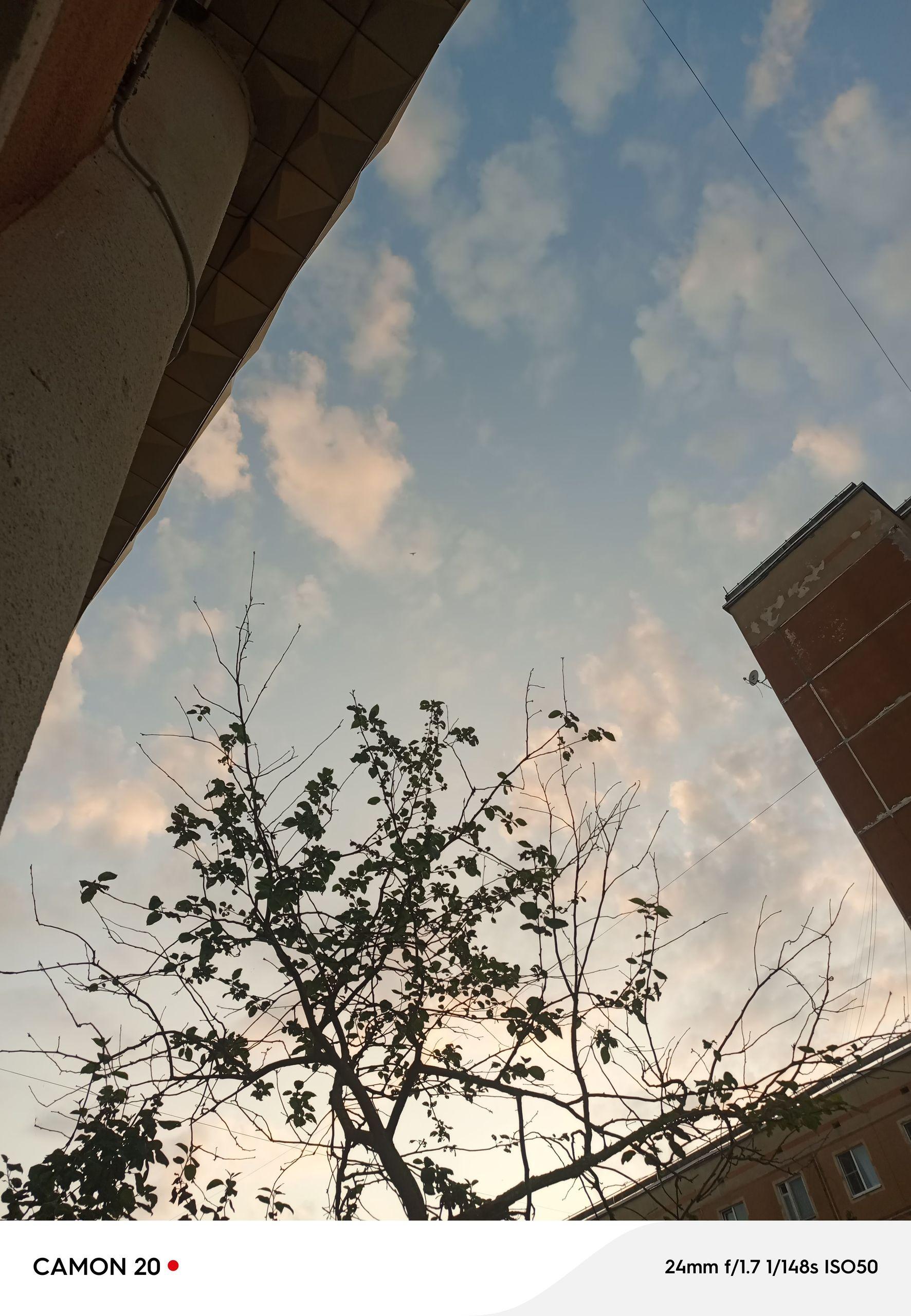 xlarge_image_1753941545548.jpg