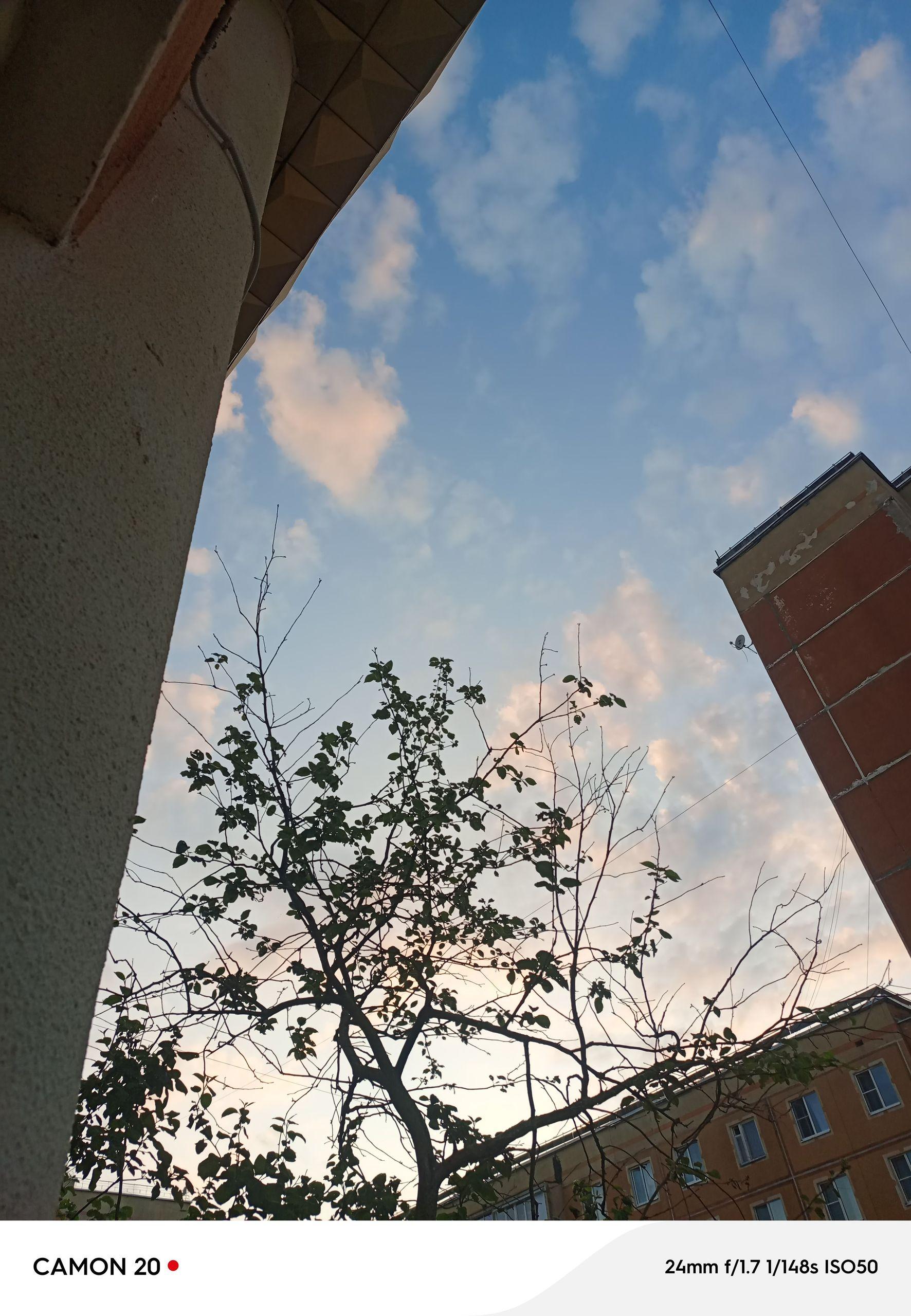 xlarge_image_1753941545558.jpg