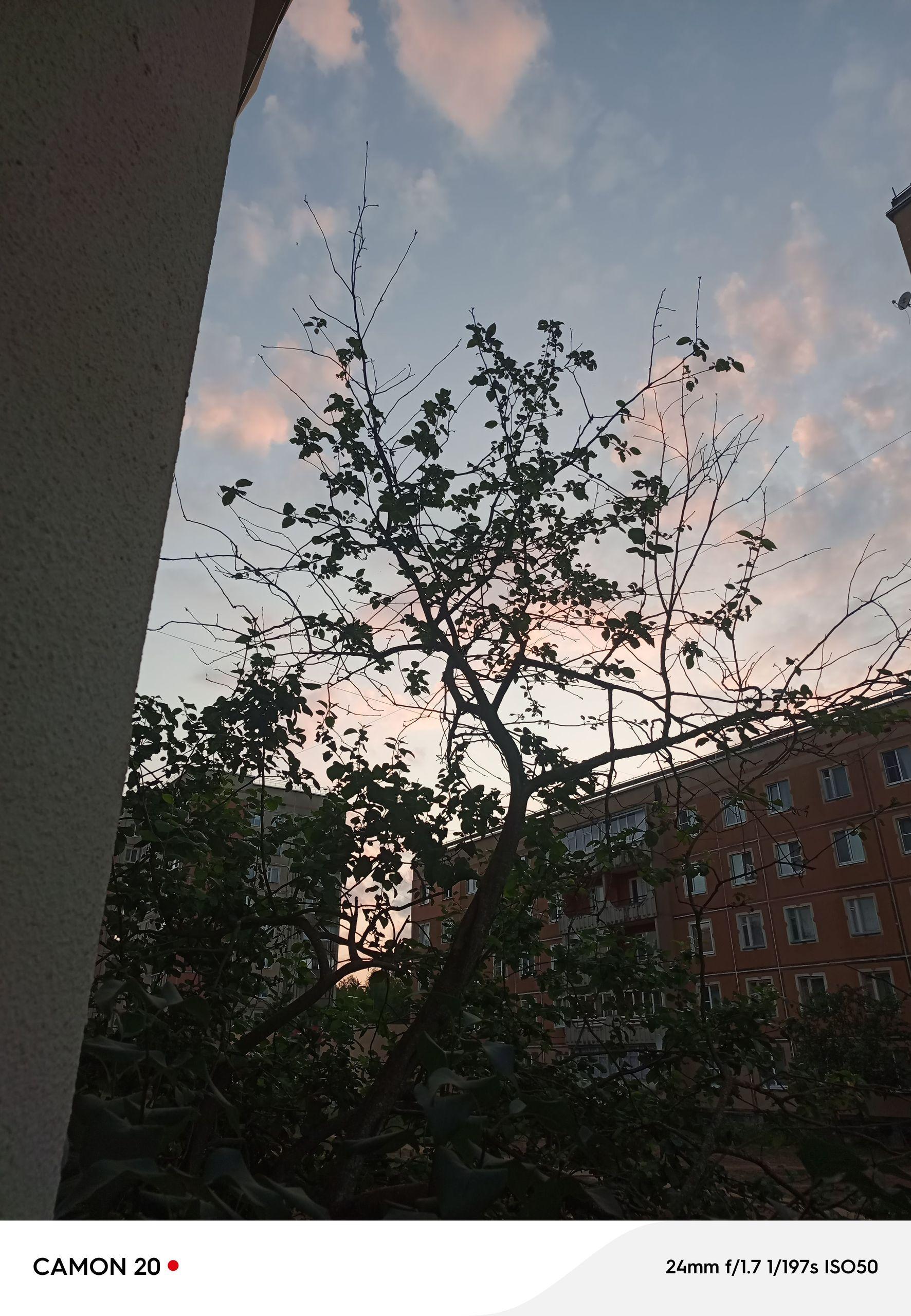 xlarge_image_1753941545563.jpg