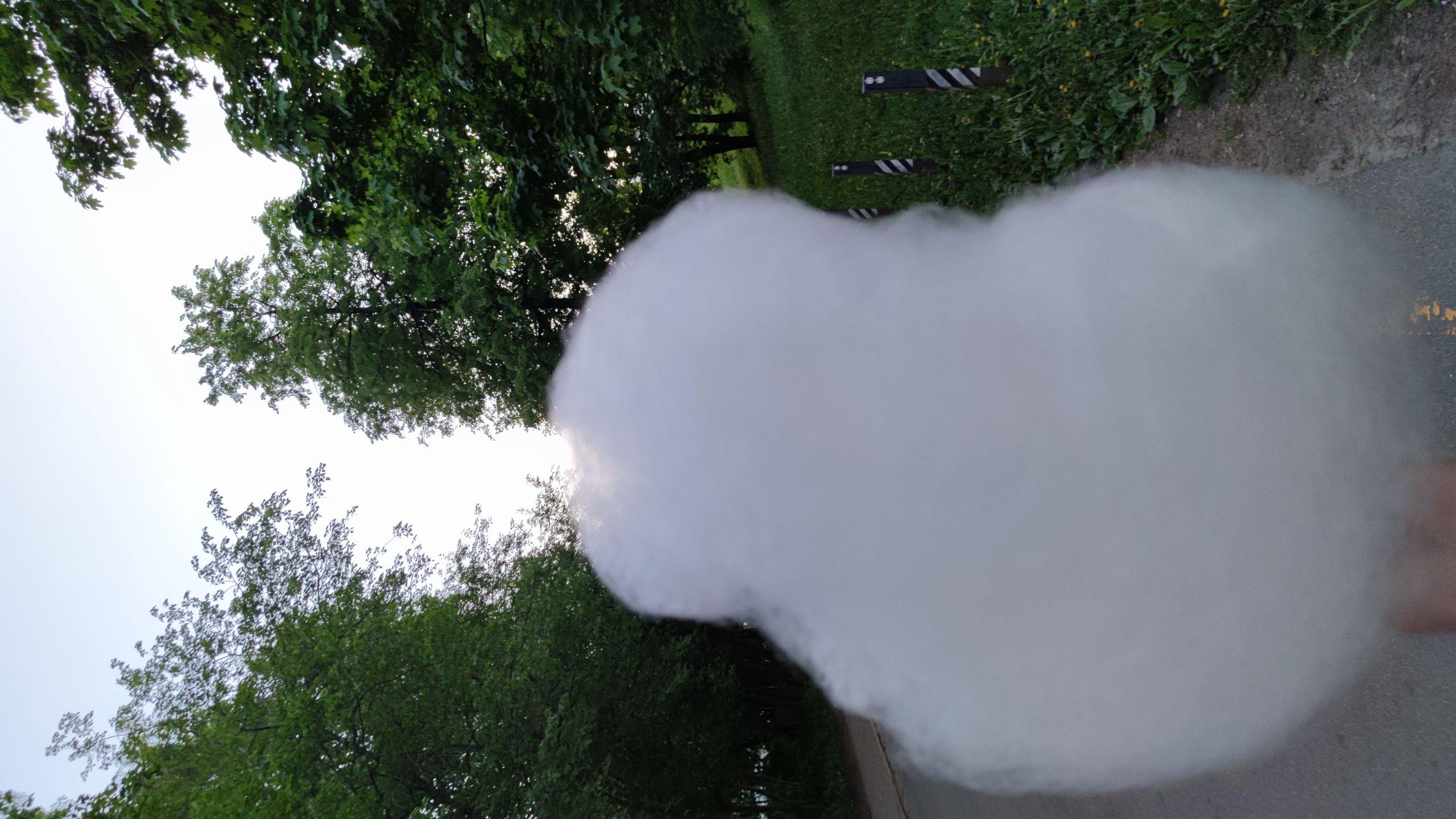 xlarge_image_1753974734711.jpg