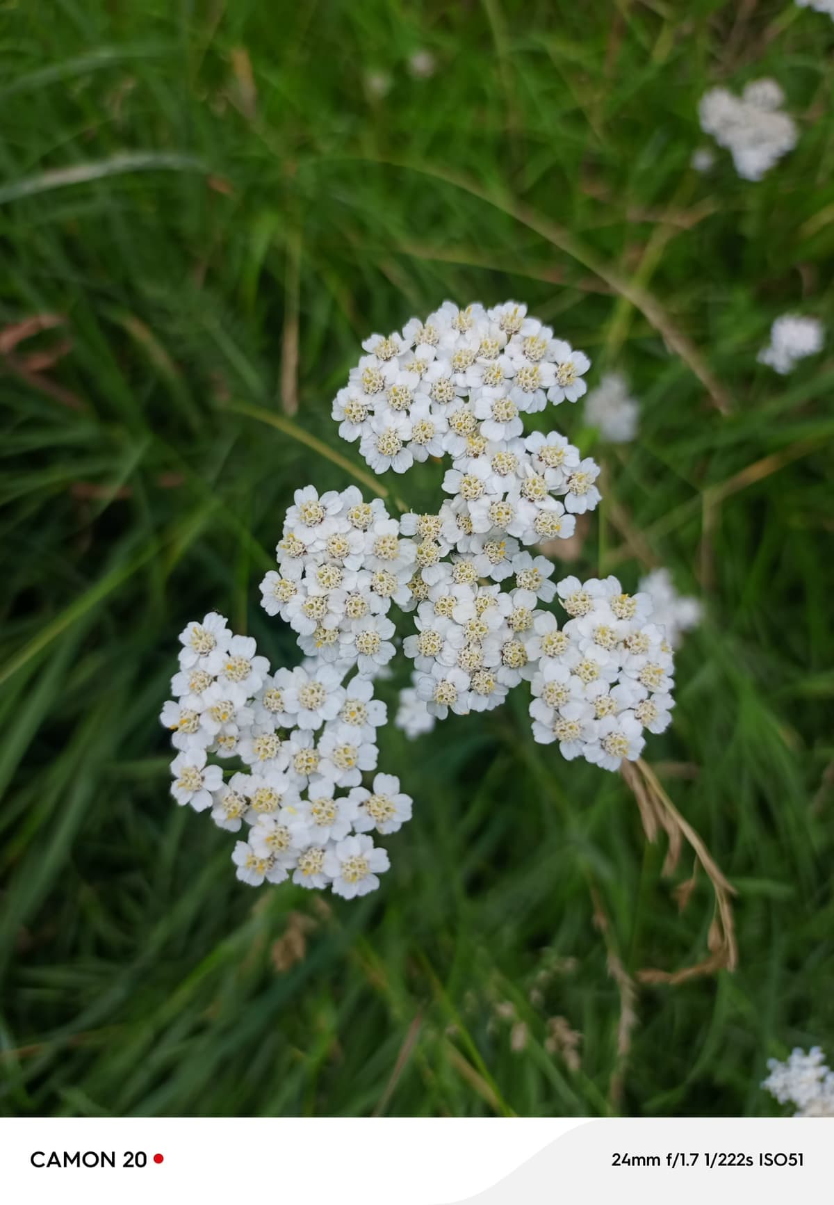 image_1774949900705.jpg