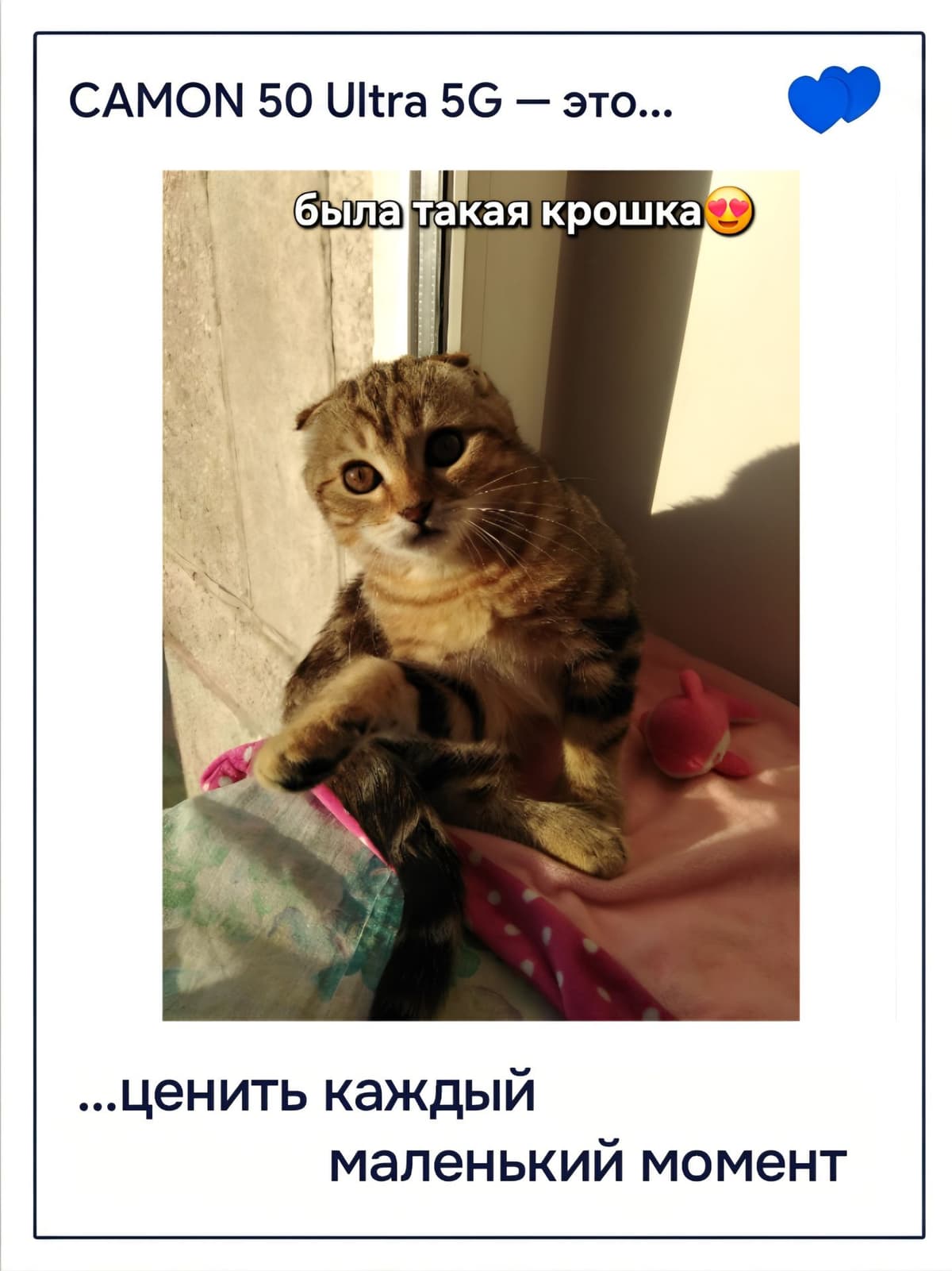 large_image_1778126534920.jpg