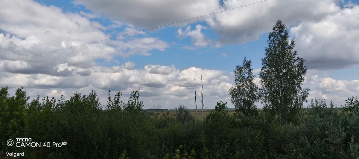 large_image_1785925256192.jpg