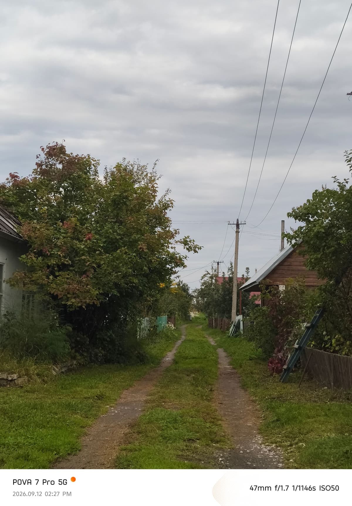 large_image_1789214279829.jpg