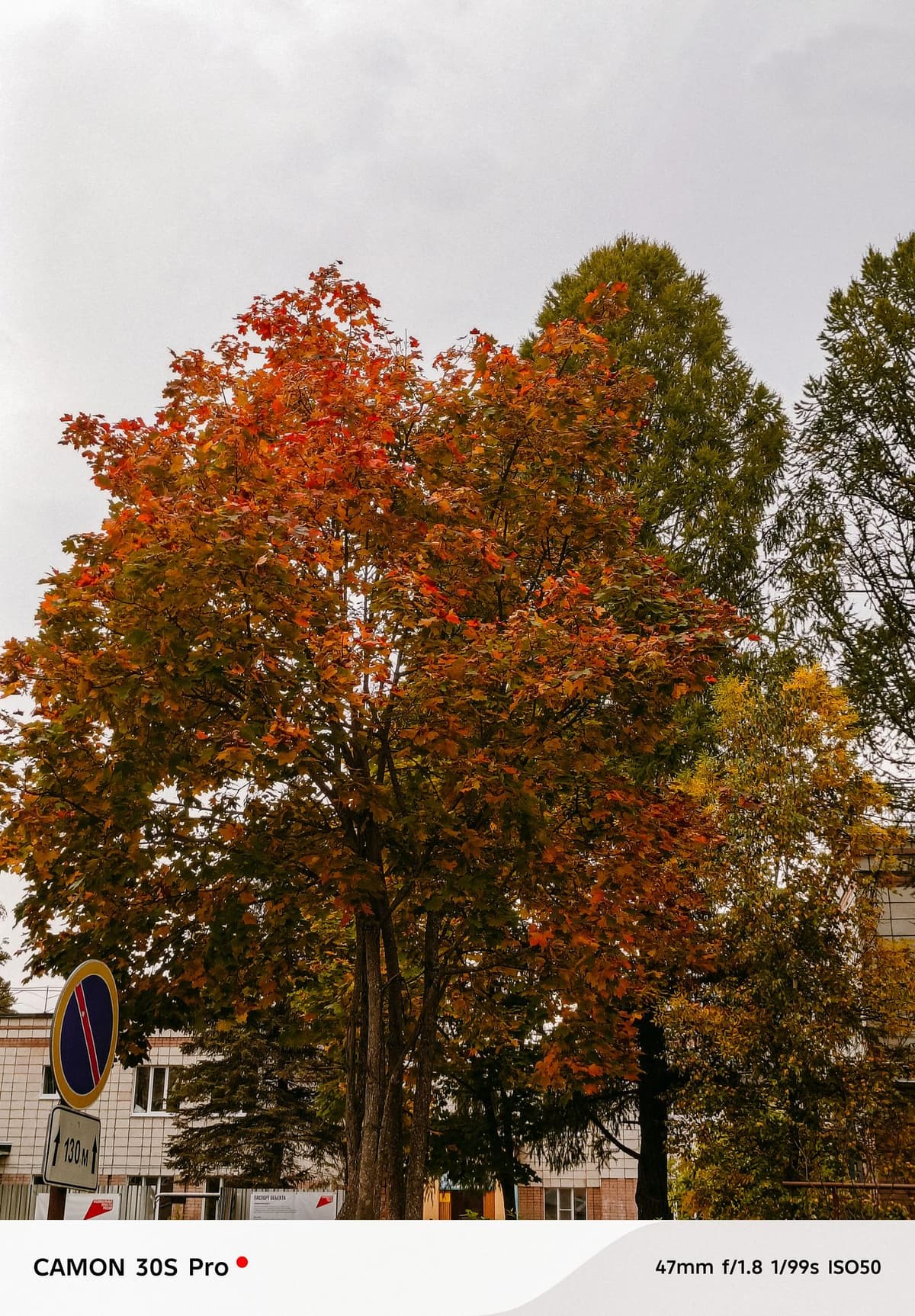 large_image_1789241484747.jpg