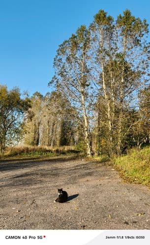 Осеннее фото