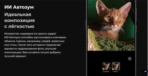 Comment image 1